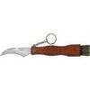 Coltello  serramanico  x  funghi  de  luca - Inox/legno  +  spazzolino  cm  19