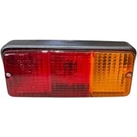 Fanale alogeno posteriore Dx senza luce targa 162x70mm senza lampadine