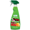 Concime liquido rame+zolfo spray energica - Ml 500