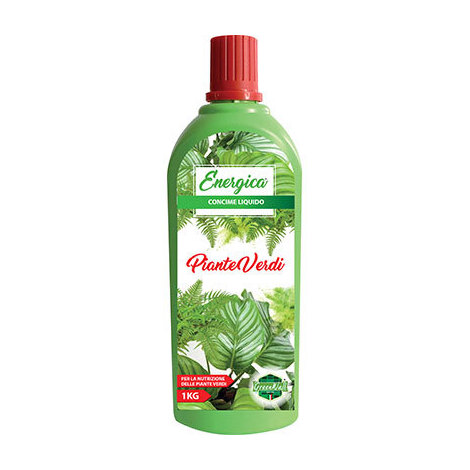 Concime  liquido  piante  verdi  energica - Kg  1