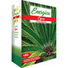 Concime  granulare  cycas  energica - Kg  1