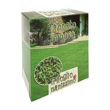 Seme prato trifoglio repens nanissimo - Gr 500