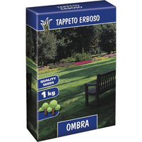 Seme prato ombra - Kg 1