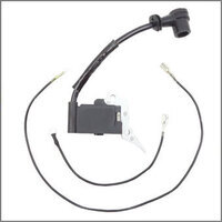 Bobina d'accensione adat. asia