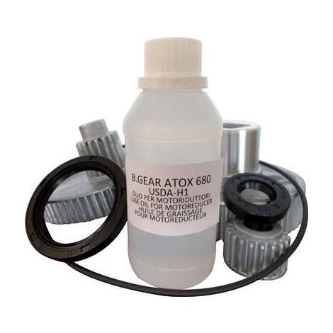 Kit  ricambio  motoriduttore  1004  reber - Olio  +  paraolio  int/est  +  guarn  +  serie  ingranaggi