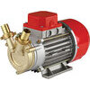 Elettropompa  travaso  gasolio  marina  20  rover - Volt  12  hp  0,5  lt/h  1700  h.max  mt  24  mm  20