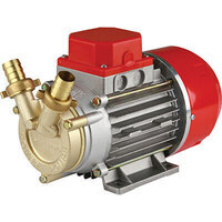 Elettropompa travaso gasolio marina 20 rover - Volt 12 hp 0,5 lt/h 1700 h.max mt 24 mm 20
