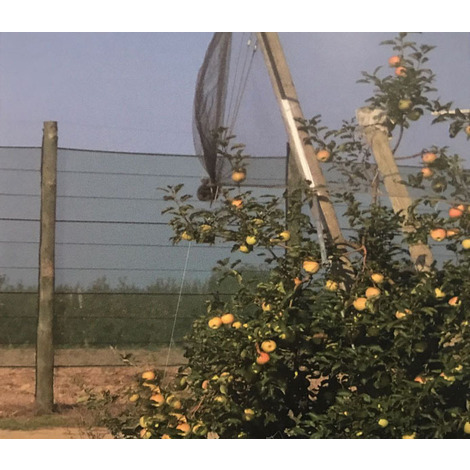3 x 100 mt - rotolo rete antigrandine protezione grandine uccelli brina giardino