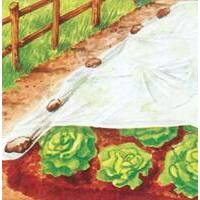 Telo antigelo tnt pesante protezione piante stars - Bianco gr/mq 30 l.mt  10 h.cm 160