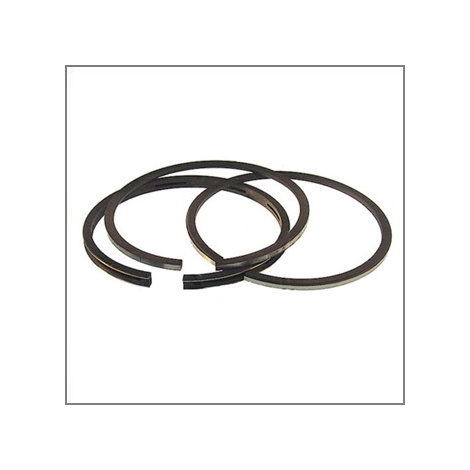 SEGMENTI D. 44 MM SP.1,2 MM (1CFX2PZ.)