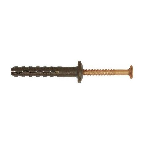 Tassello  nylon  prolungato  tbb  62105  friulsider - Vite  inox  ramata  tsp  cava  pz  tbb  6x40/10 - 100 Pezzi