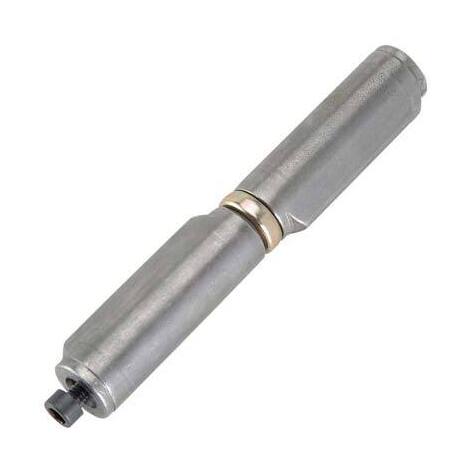 Cerniera  costa  a  saldare  258r  combi - Perno  regolabile  e  cuscinetto  mm  22x25x150