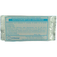 Lievito cerevisale 100 gr lievito selezionato per vinificazione vino enologia