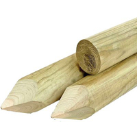 Palo tondo + punta legno euro - Pino impregnato cm  6 h.cm 200