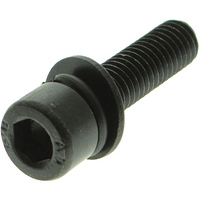 Vite x gruppo irrorazione 6130015