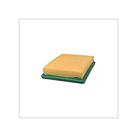FILTRO ARIA ADAT.ASIA 117X100,5x27mm.