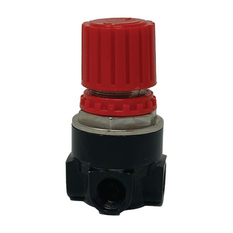 Regolatore pressione compressore coassial workit - Lubrificato lt  24 50 hp 2,0