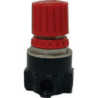 Regolatore pressione compressore coassial workit - Lubrificato lt 24 50 hp 2,0