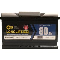 Batteria auto start stop modulo valore + - Ah  80 dx spunto 770a mm 310x175 h.mm 190