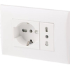 Placca precomposta 2211 electraline - Bianco posti 2 presa 10/16 + schuko volt 220 a 16