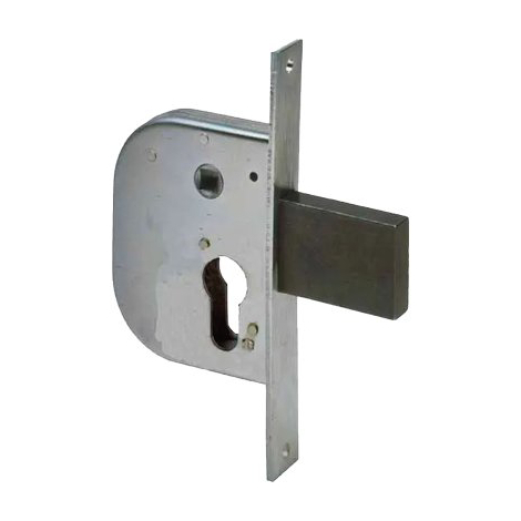 Serratura cancello infilare 42212 cisa - B.q zinc f.mm 22 f.sagom scr+q8 e.mm 30