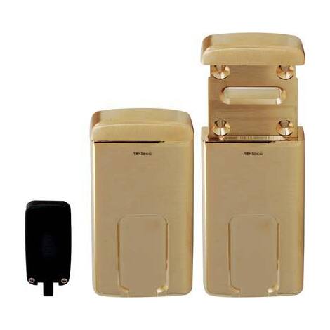 Defender  magnetico  mg220  disec - Dm  mm  110x55  ottone  lucido