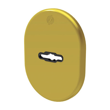 Mostrina  porta  blindata  4301  securemme - Dm  ottone  lucido  mm  82x62