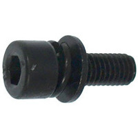 Vite fiss. flangia m.sega burg45,2 x 9804700 c.espl.4