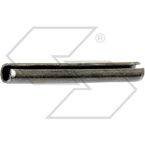 SPINA ELASTICA D.6 X 60