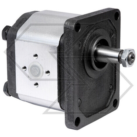 POMPA INGRANAGGI GR.2 P02 25 ROT SX