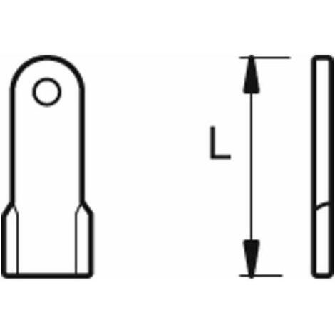 COLTELLO TRINCIA DRIT.TORTELLA TR15