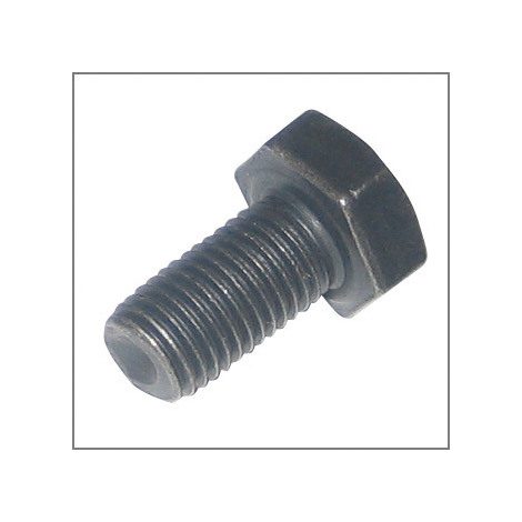 Vite te m 10x1,25 orig