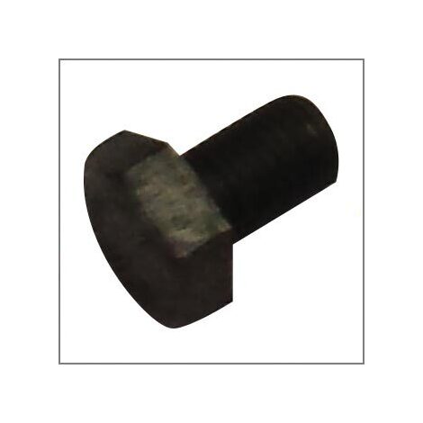 Vite 8x12 gaspardo orig