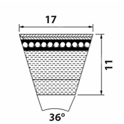 Cinghia Trapezoidale Dentata AX 50 Pix - 13x8x1270 Mm - Neoprene - Alta Flessibilità