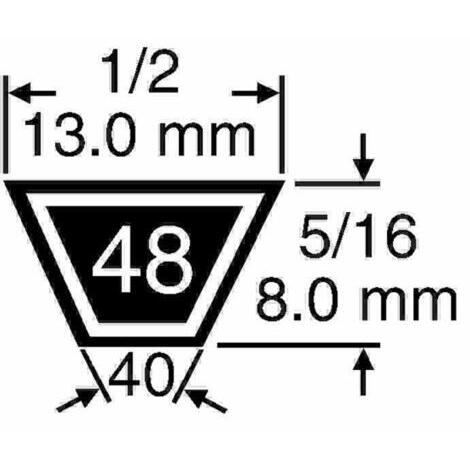 CINGHIA STANDARD 1/2