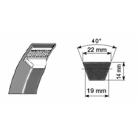 Cinghia in gomma telata C96, sviluppo esterno 2526mm