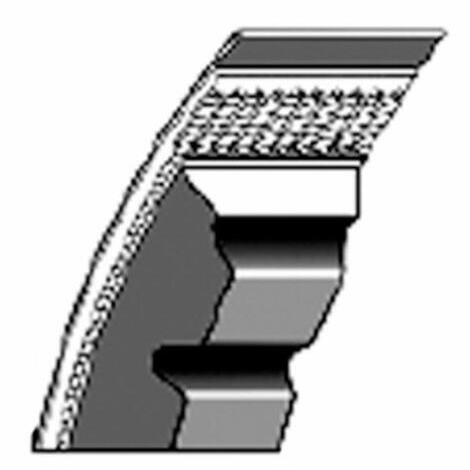 Cinghia trapezoidali in gomma telata AVX10, sviluppo esterno mm 1125