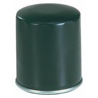 Elementi filtranti olio motore adattabili a FIAAM-LOMBARDINI