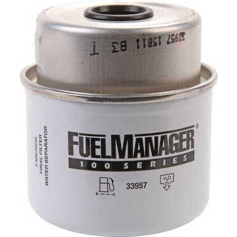 Elemento filtrante FM33957