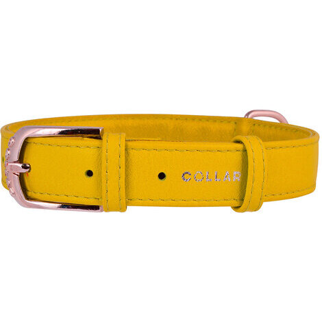 19-25 cm x 9 mm collare glamour giallo in pelle per cane - collarino cani fibbia