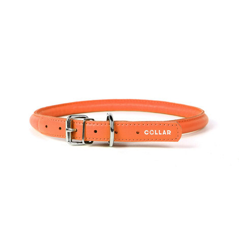 20-25 cm x 8 mm collare soft arancio in pelle per cane - collarino cani fibbia