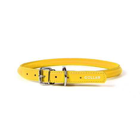 20-25 cm x 8 mm collare soft giallo in pelle per cane - collarino cani fibbia