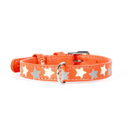 21-29 cm x 12 mm - collare fosforescente stelle arancio in pelle per cane collarino cani fibbia