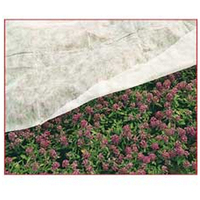 Tessuto tnt 1,60 x 5 ml.