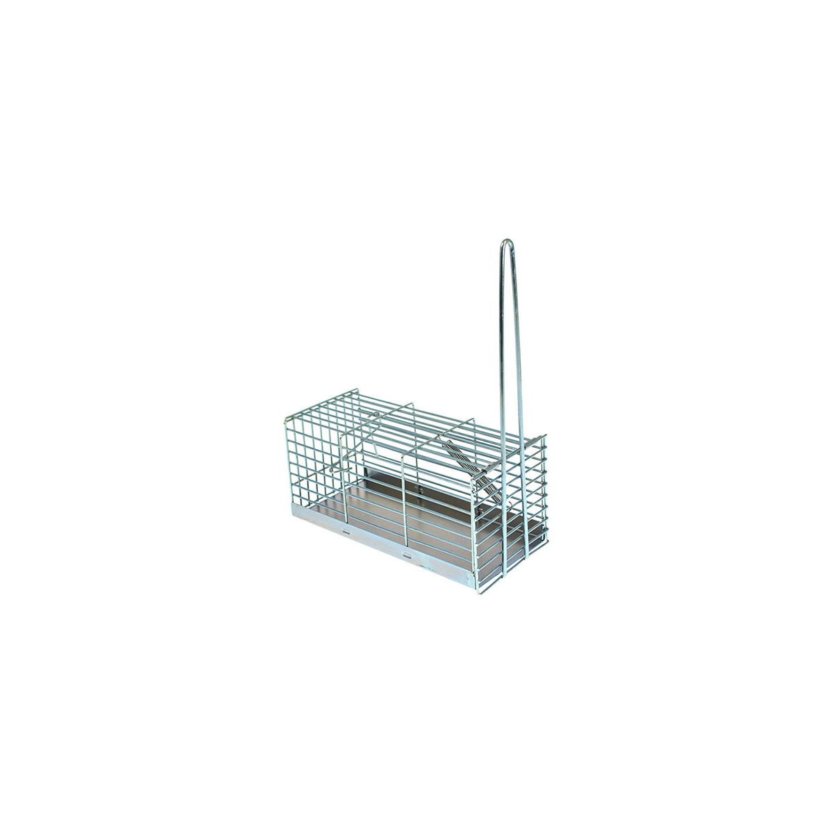 Trappola a galleria per topi 200 mm - piccola gabbia cattura ratti con  molla 8200230