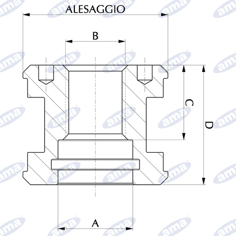 PISTONE AL.50 FI.20x2 L.40 C40