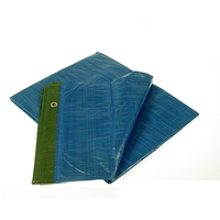 Telone occhiellato 4x7 m. standard