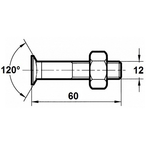 VITE X ARATRO TSPQST 12X60 DX PZ.50