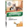 Antiparassitario  advantage  gatti  bayer  open - Kg  0/4  cf=pz  4