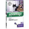 Antiparassitario  advantage  gatti  bayer  open - Kg  4+  cf=pz  4